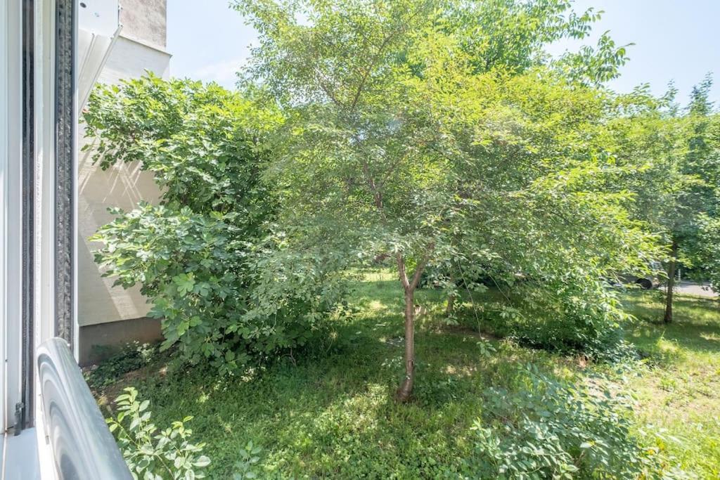 Top Location, Brand New 3 Bdrm Apt & Free Parking Sofia Eksteriør bilde