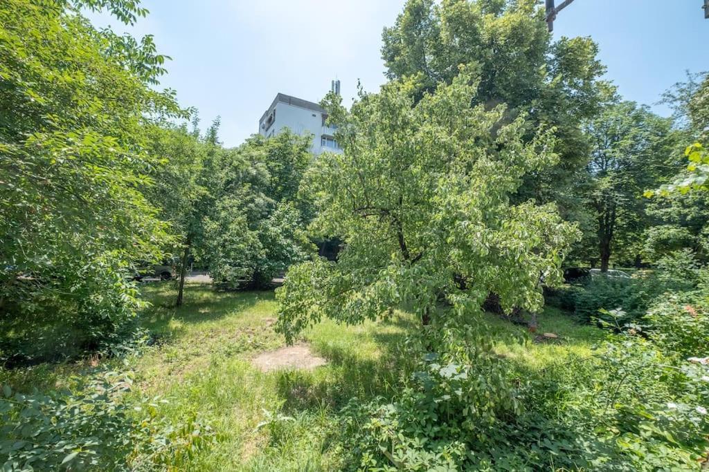 Top Location, Brand New 3 Bdrm Apt & Free Parking Sofia Eksteriør bilde