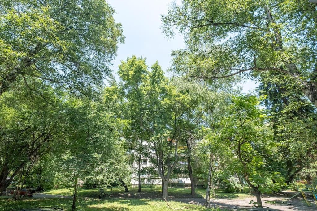 Top Location, Brand New 3 Bdrm Apt & Free Parking Sofia Eksteriør bilde